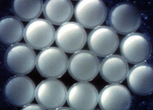 特種建材 構建卓越事業的基石